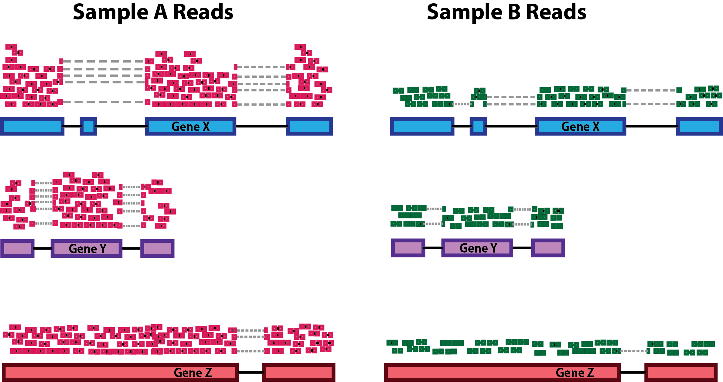 Count Normalization With Deseq2 Introduction To Dge Archived 9055