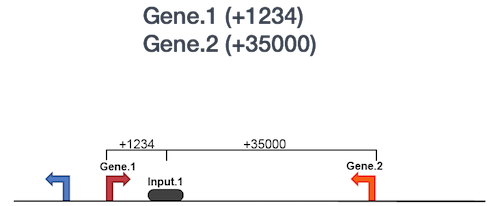 tss_gene