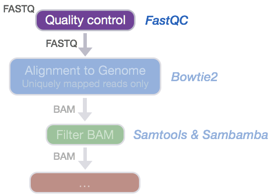 FastQC for quality assessment | Introduction to ChIP-Seq using  high-performance computing