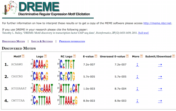 dreme_output