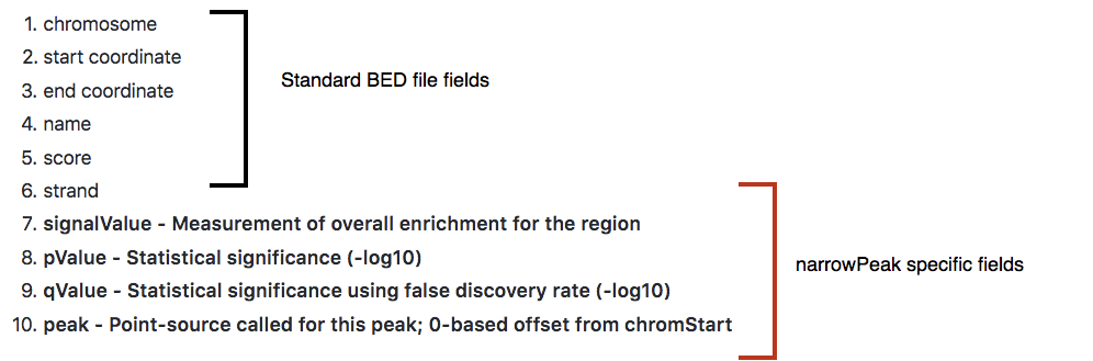 bam file format