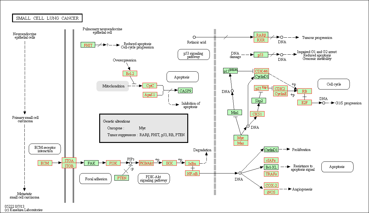 perturbed_pathway