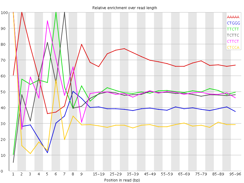 Kmer graph