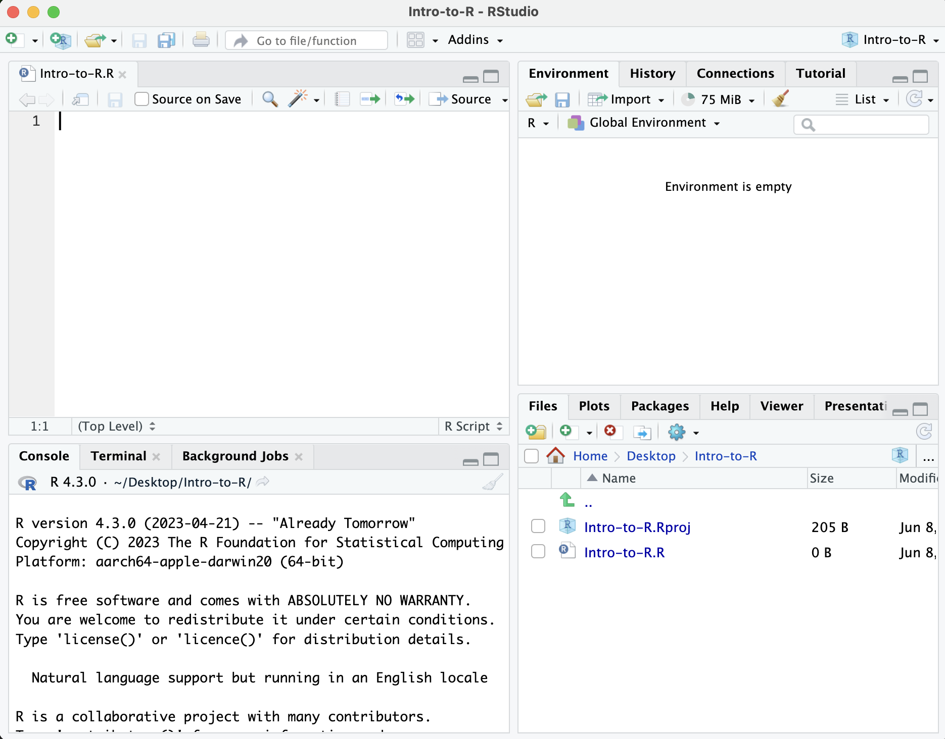 RStudio interface