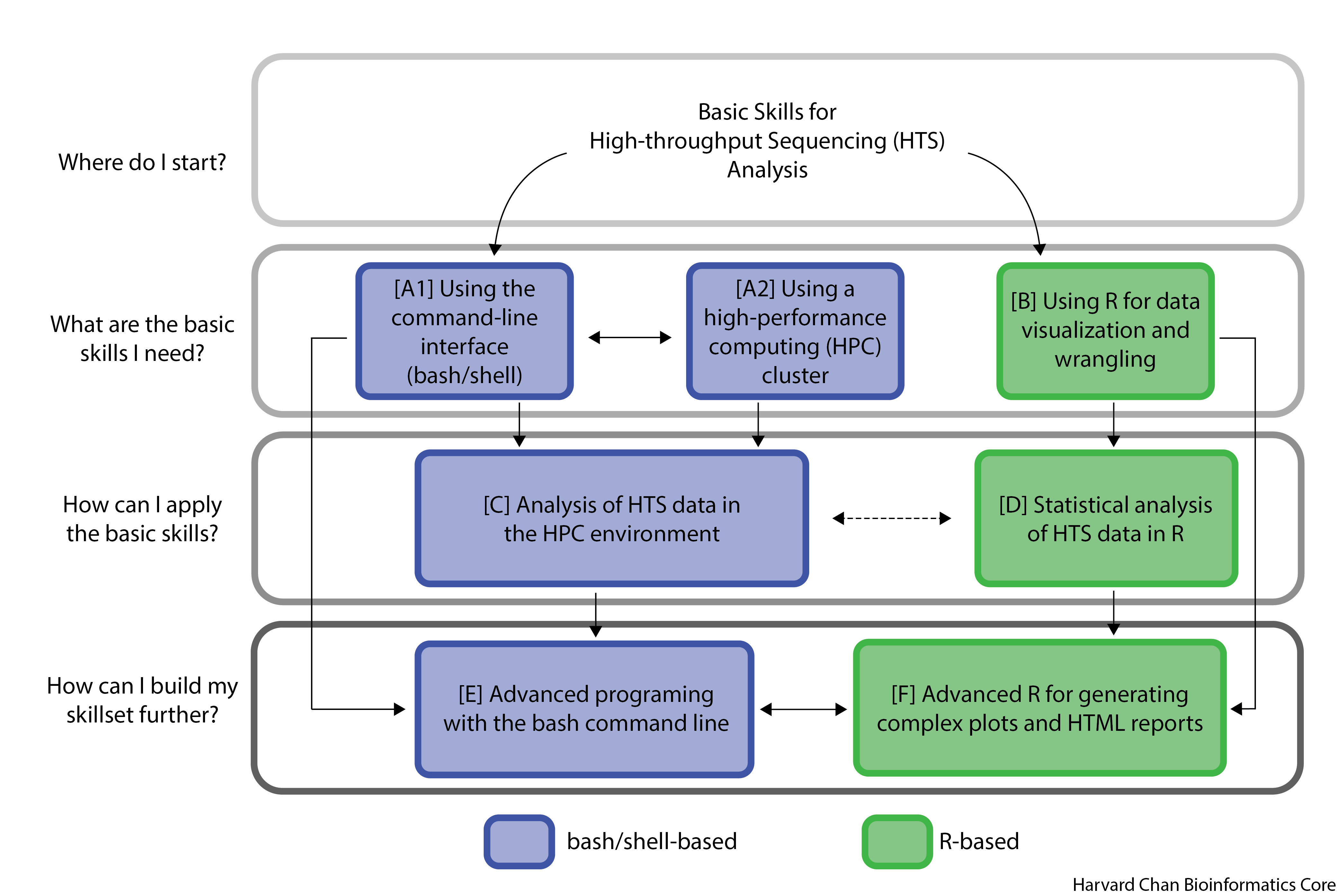 Bioinformatics Training at the Harvard Chan Bioinformatics Core